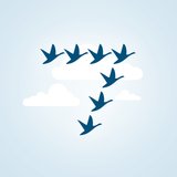 7Geese logo