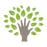 Khan Academy logo