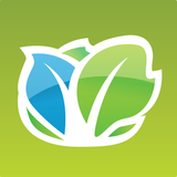 Kabbage logo