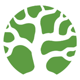 Bonsai.io logo