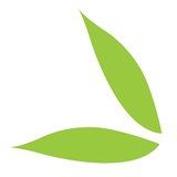Meetings by Spruce logo