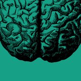 Userbrain logo