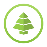 Codiqa logo