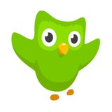 Duolingo logo