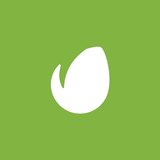 Envato Studio logo