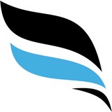 PAYWHIRL logo