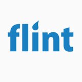 Flint logo