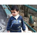 Wasim Farhat